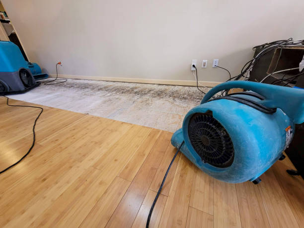 Professional Sewage Cleanup technician working in Ayer, MA